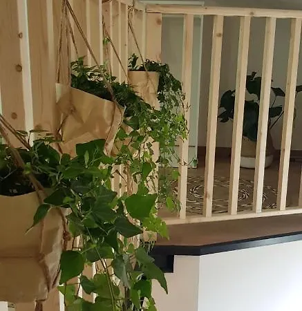 Mediterraneenne Apartman *